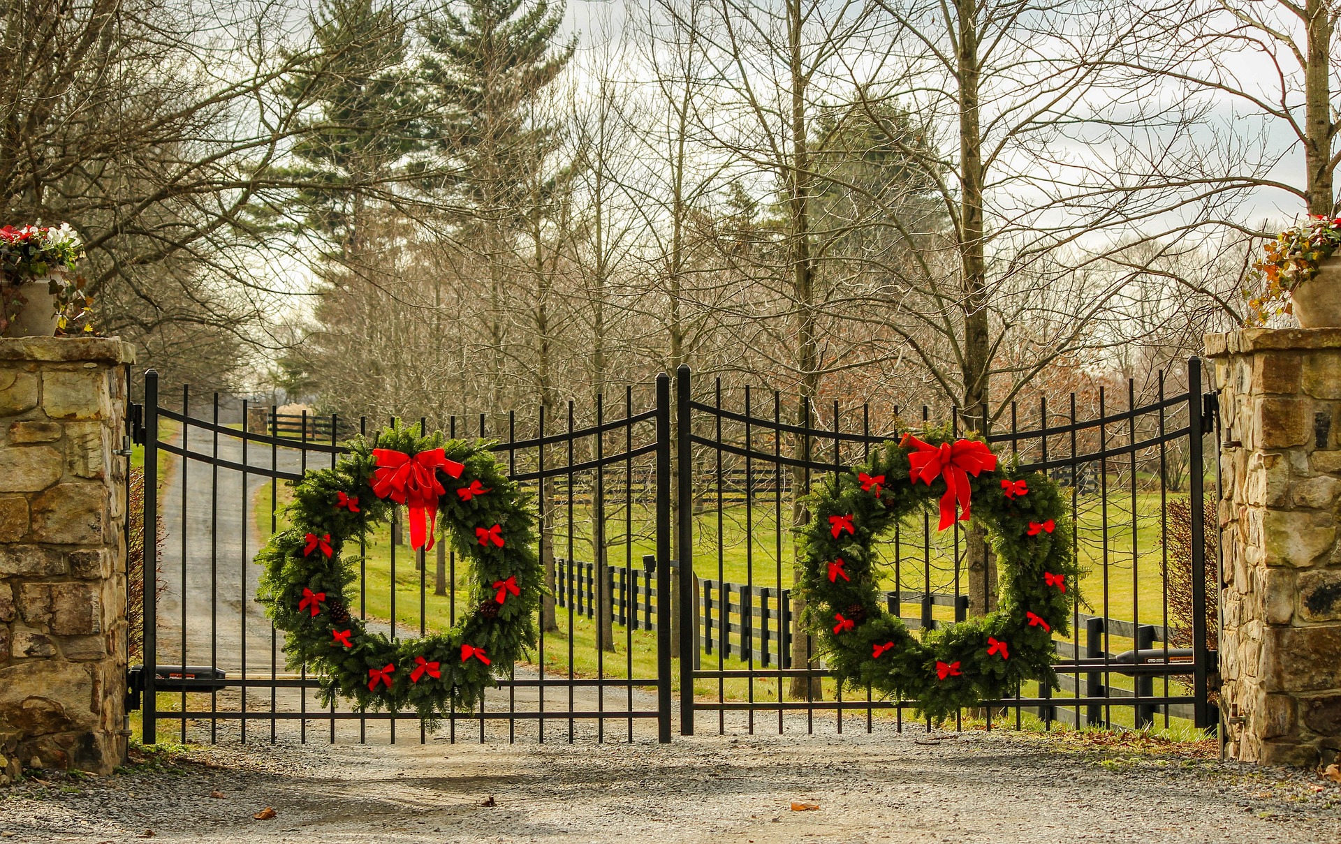 Christmas wreaths on a gate.